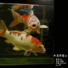 知足常乐的头像