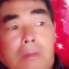 牵牛花的头像
