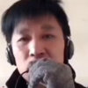 晚秋的头像