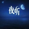 思绪*夜听*:･ﾟ的头像