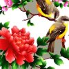 唱歌是一种解药的头像