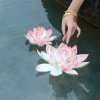 静雅一幽莲《因忙暂退》的头像