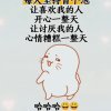 小鱼儿的头像