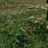 子洋的头像