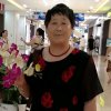 桂花的头像
