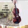 詹的头像