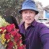 梅山老王的头像