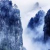杨景山的头像