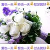 快乐的头像