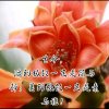 静静素雅(自娱自乐)的头像