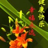 悟真的头像