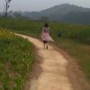 龙燕的头像