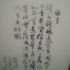 ，揽月的头像