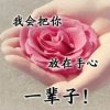 芙蓉姐的头像