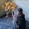 《珍惜自己》的头像