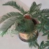 荣.的头像