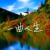 晴天的头像