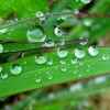 风雨同舟的头像