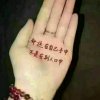 宋晓燕的头像