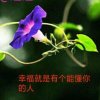 馨香～雪儿的头像
