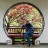 赤胆忠心的头像