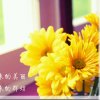 开心的头像