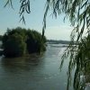 平淡的头像