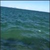 带你去看海(退）的头像