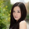 情歌在飞扬的头像