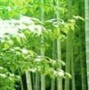 酒凉意冷、心事全休的头像