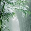 AnnieML的头像