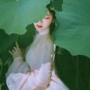 浅夏的头像