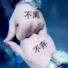 缘分天空的头像