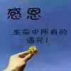 花落无心，流水无情的头像