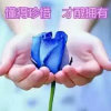 善行天下的头像