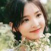 杏福快乐的头像