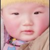 梦想成真的头像