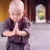 8787的头像