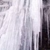 梦露的头像