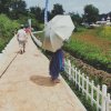 雨滴JFEN的头像