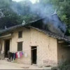 你说儿豁（柳）的头像