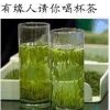 漂移 蓝莓缘003的头像