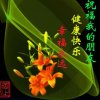 竹韵（笛伴一生）的头像