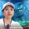 燕子 ♀ 的头像