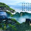 心灵之家的头像