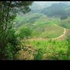 曲径通幽的头像