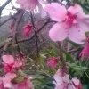 无奈得雨的头像