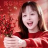 迎凤凰展翅的头像