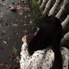 无所谓的头像