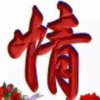 情的头像